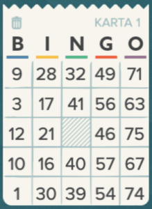 Bingo 75 kupon