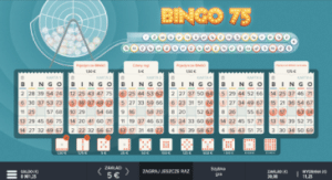 Bingo 75 wyniki